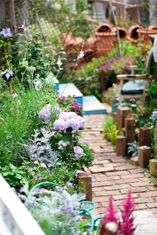 劉俊建了座2畝的鮮花小鎮(zhèn)