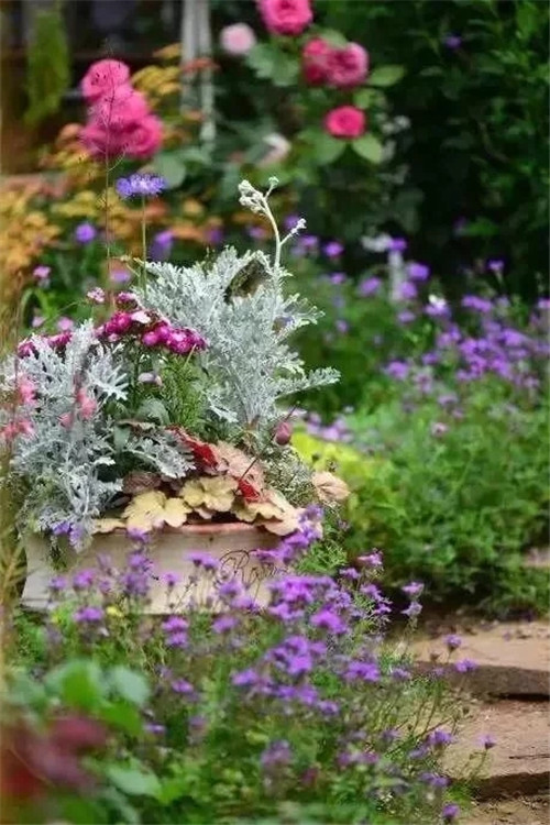 劉俊建了座2畝的鮮花小鎮(zhèn)