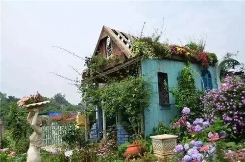 劉俊建了座2畝的鮮花小鎮(zhèn)