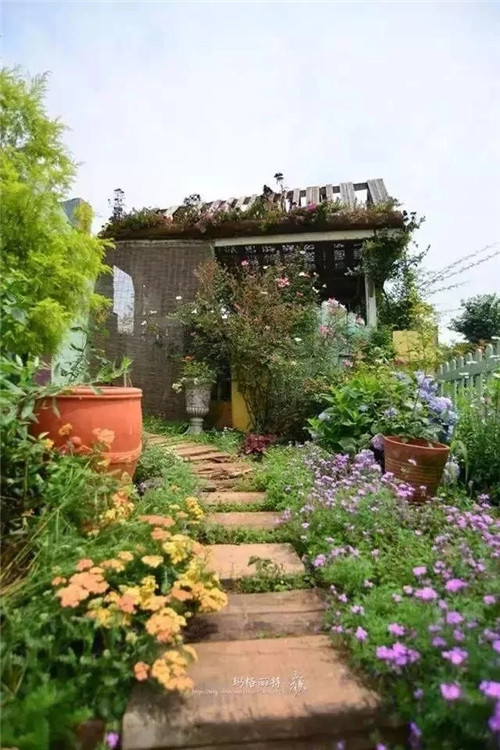 劉俊建了座2畝的鮮花小鎮(zhèn)