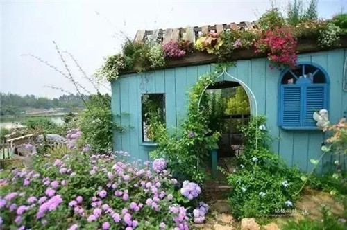 劉俊建了座2畝的鮮花小鎮(zhèn)