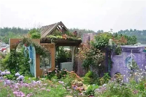 劉俊建了座2畝的鮮花小鎮(zhèn)