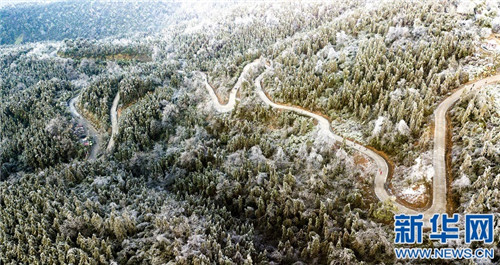 江西仰天崗國家森林公園銀裝素裹