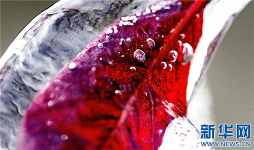 江西仰天崗國家森林公園銀裝素裹