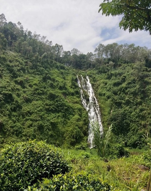 東莞市山靈水秀的水濂山森林公園