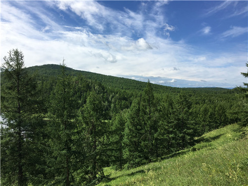 內蒙古阿爾山森林公園駝峰嶺天池