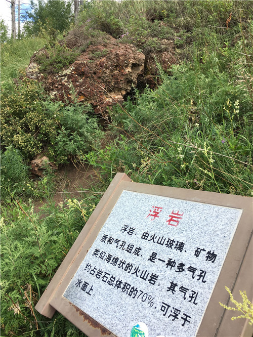 內蒙古阿爾山森林公園駝峰嶺天池