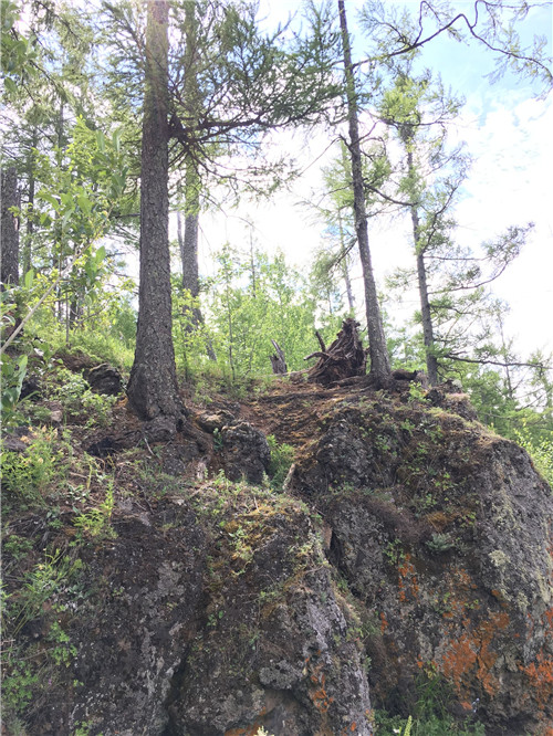 內蒙古阿爾山森林公園駝峰嶺天池