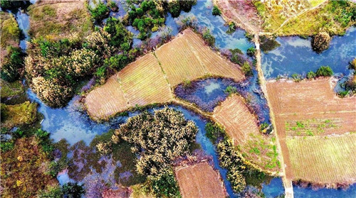 航拍生態(tài)綠洲——都安澄江國家濕地公園