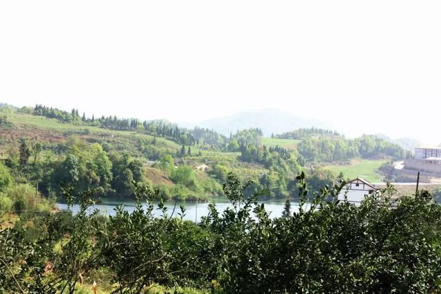 宋山森林公園美景