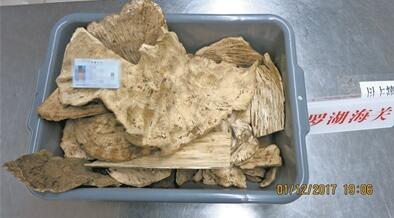 羅湖海關查獲瀕危野生動植物上萬件