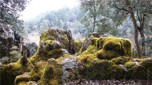 美如仙境!四川又添兩處國家級地質公園