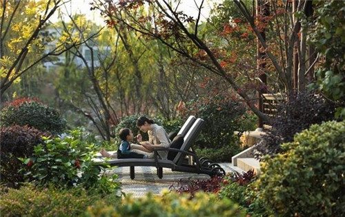 國(guó)外酒店設(shè)計(jì)的景觀像家鄉(xiāng)的濕地公園