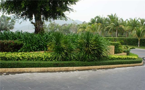 國(guó)外酒店設(shè)計(jì)的景觀像家鄉(xiāng)的濕地公園