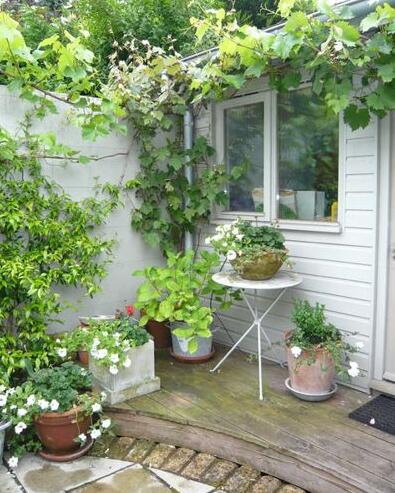 如何將城市里小塊土地變為城市綠洲