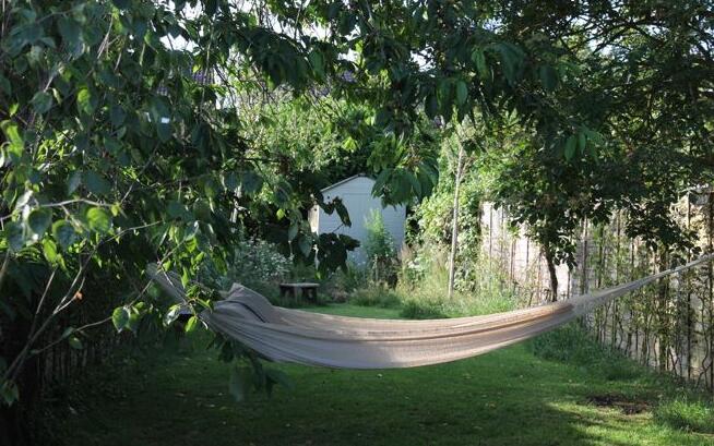 如何將城市里小塊土地變為城市綠洲