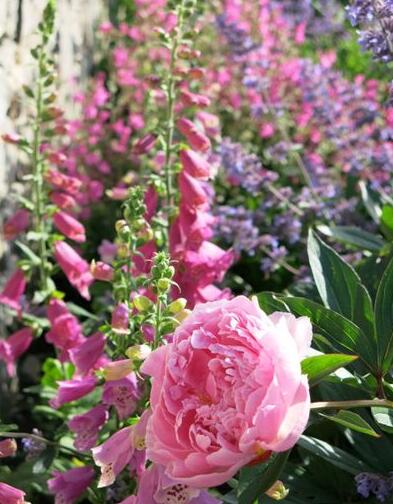 如何將城市里小塊土地變為城市綠洲