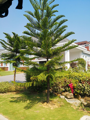 馬來西亞景觀專業考察：實達集團與JRD事務所