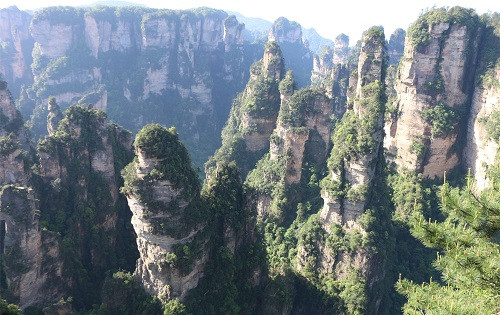 張家界森林公園門之風景賞析