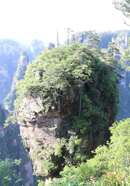 張家界森林公園門之風景賞析