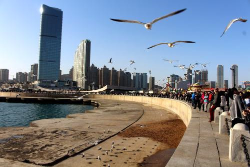 大連星海廣場——亞洲最大的城市廣場