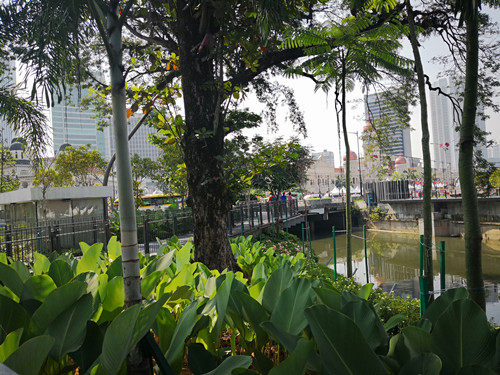 馬來西亞景觀考察：生命之河與Linear事務所