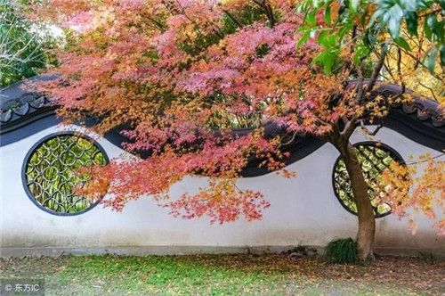 千城一色 斷崖城市文化該去何處續接