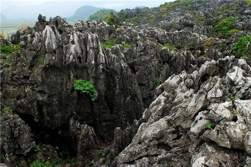 千家峒國(guó)家森林公園,瑤族故里,神秘桃源