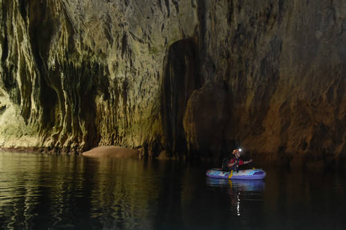 研究發(fā)現(xiàn)31種僅存在中國(guó)洞穴里的植物