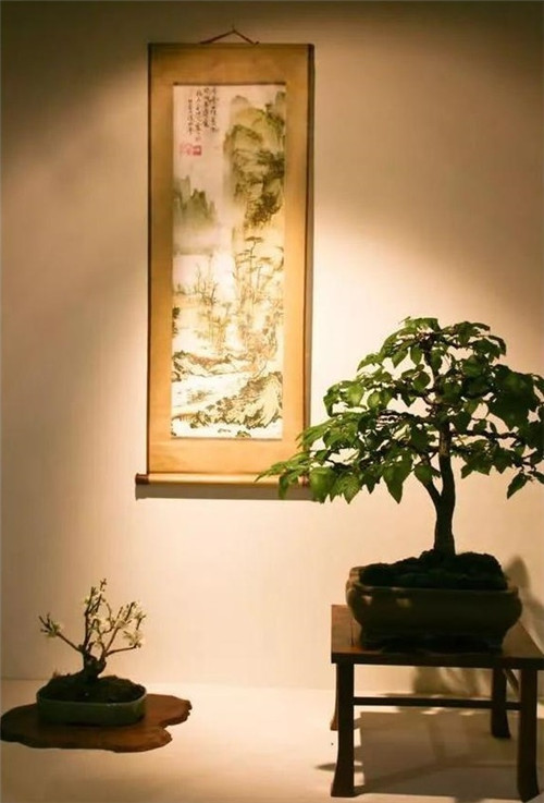 美國費城的盆景與插花藝術(shù)展