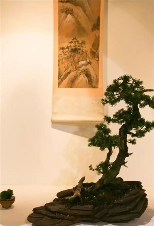 美國費城的盆景與插花藝術(shù)展