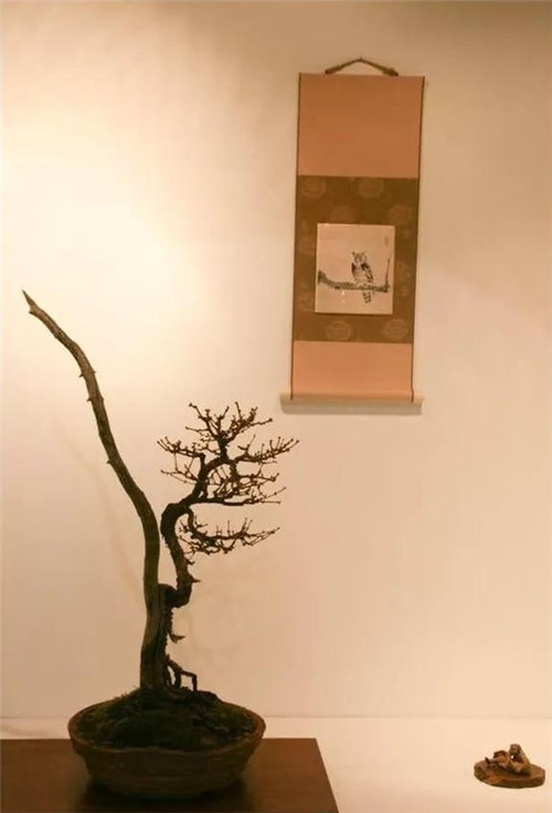美國費城的盆景與插花藝術(shù)展