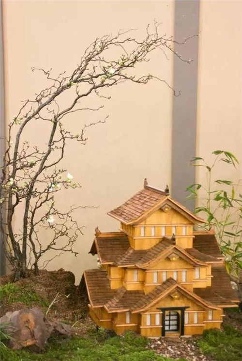 美國費城的盆景與插花藝術(shù)展