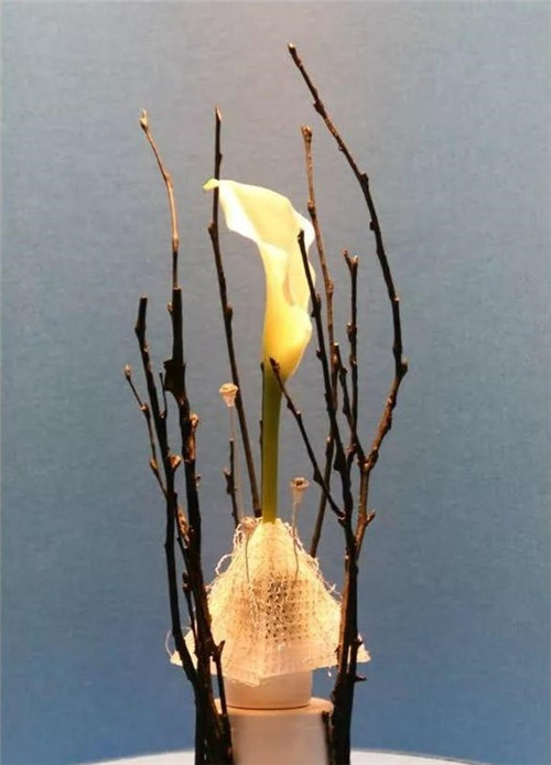 美國費城的盆景與插花藝術(shù)展