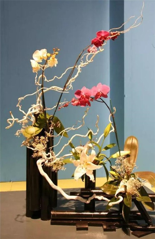 美國費城的盆景與插花藝術(shù)展