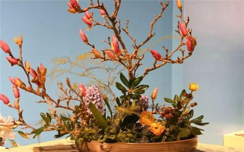 美國費城的盆景與插花藝術(shù)展