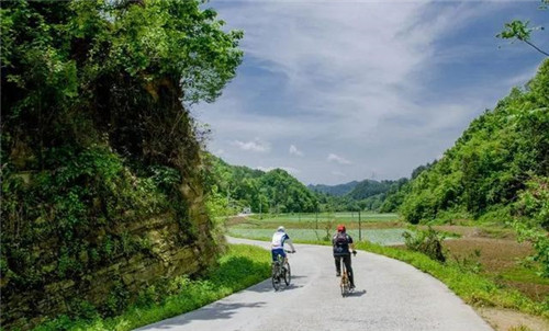 走進千年古樹群風景區(qū)