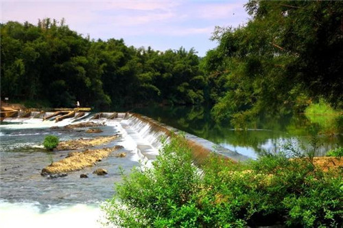 走進千年古樹群風景區(qū)