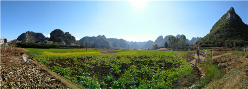 貴州樓納“首個鄉村振興工作營”成功舉辦