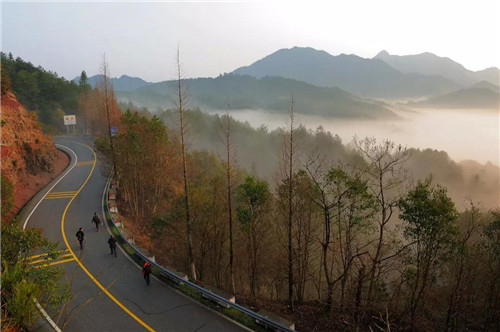 浙江慶元要建成江南一流生態旅游目的地