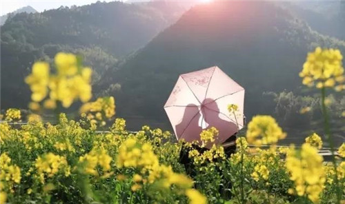 浙江慶元要建成江南一流生態旅游目的地