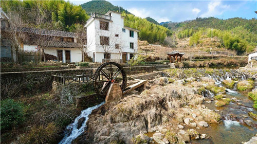 浙江慶元要建成江南一流生態旅游目的地