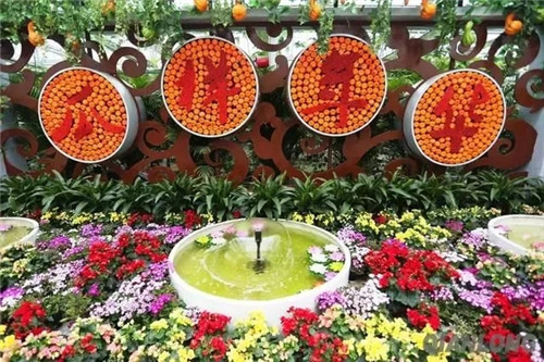 5招教你解決休閑農業和鄉村旅游同質化問題