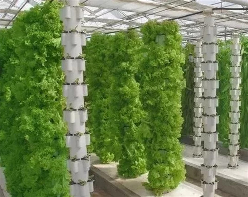 5招教你解決休閑農業和鄉村旅游同質化問題