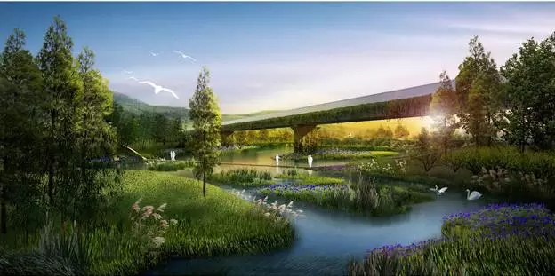 濱水景觀設計要點