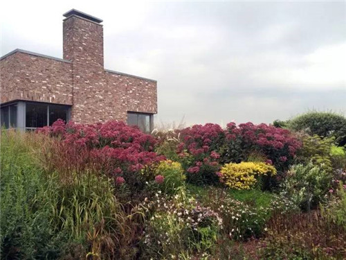 這位設計師花了32年,沉淀出了一片荒野景觀