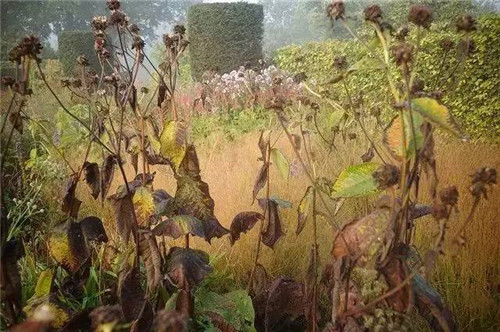 這位設計師花了32年,沉淀出了一片荒野景觀