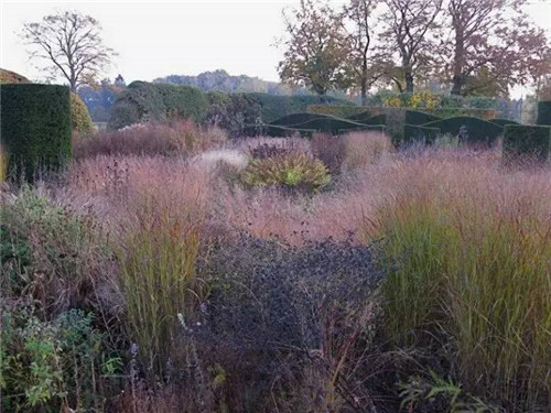 這位設計師花了32年,沉淀出了一片荒野景觀