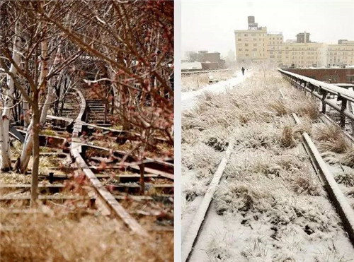這位設計師花了32年,沉淀出了一片荒野景觀