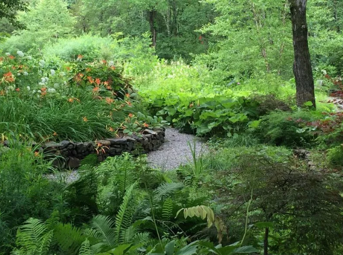 托馬斯?萊納談自然景觀